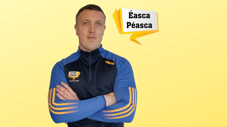 Irish Interview Online Course