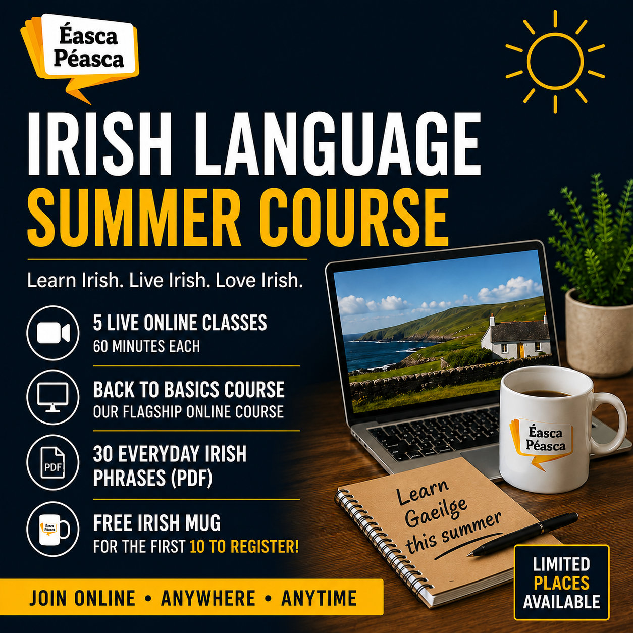 Irish Language Summer Course